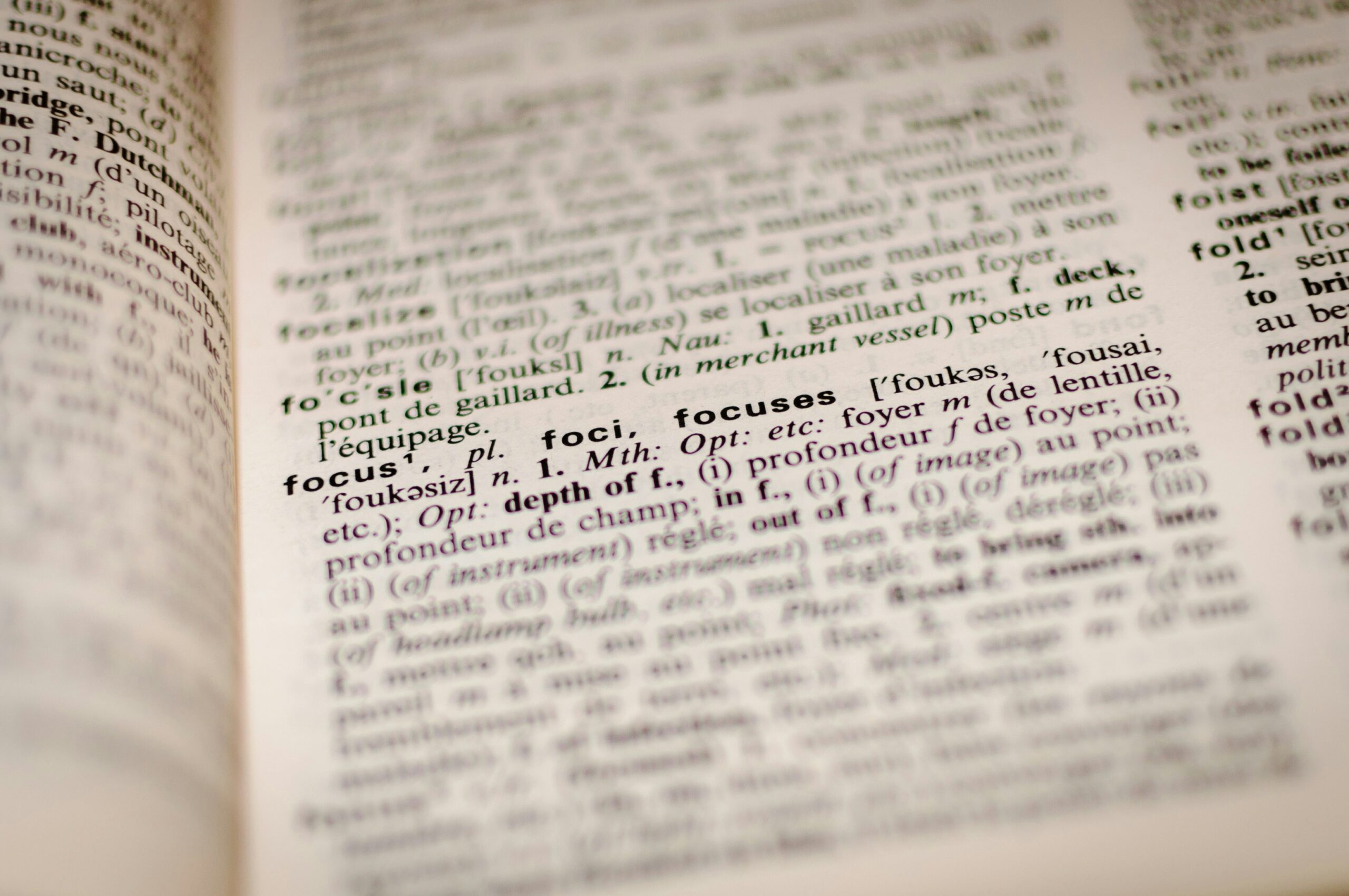 French translation services for a book