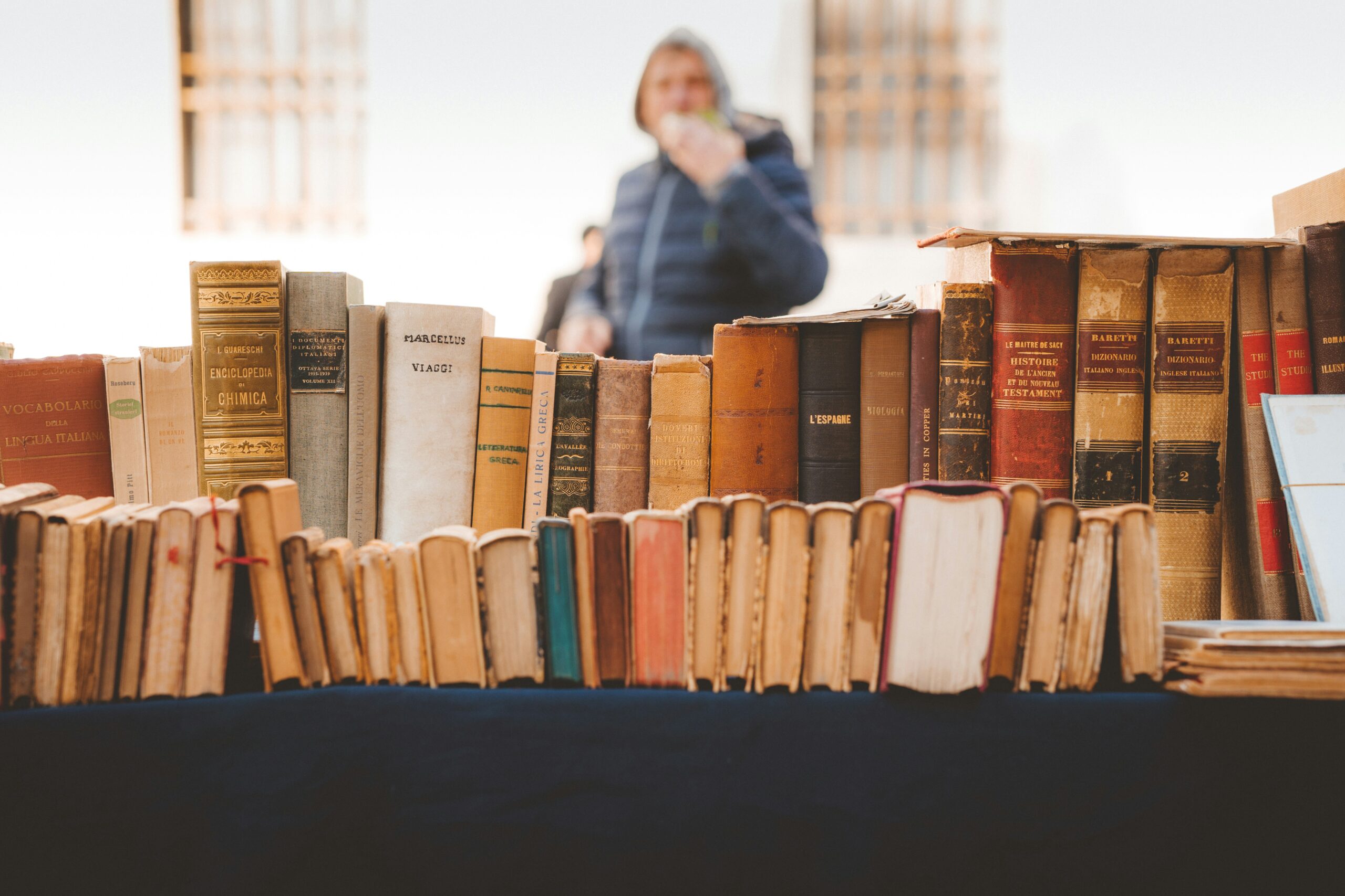 italian to french translation services