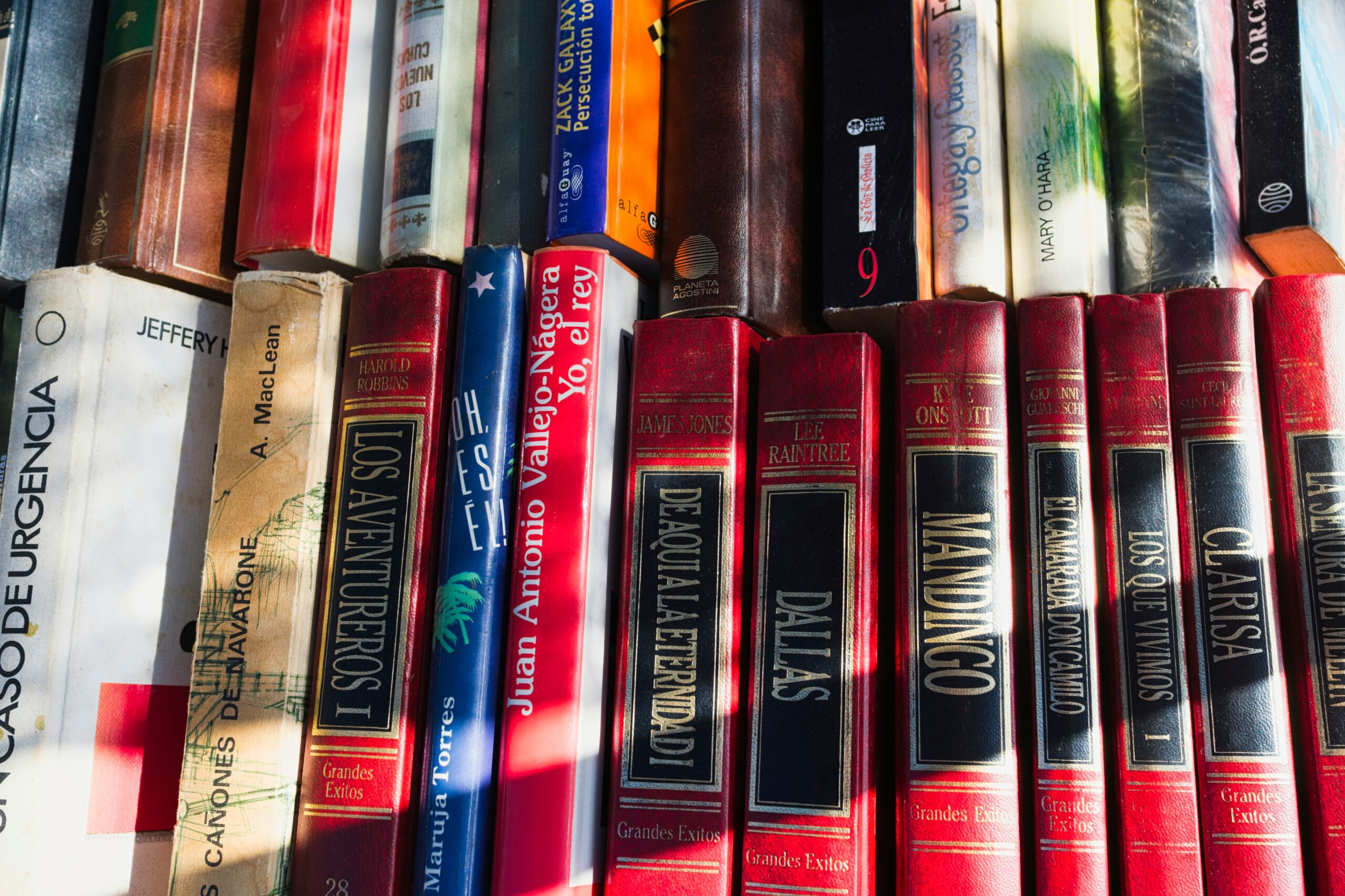 spanish to french translation services