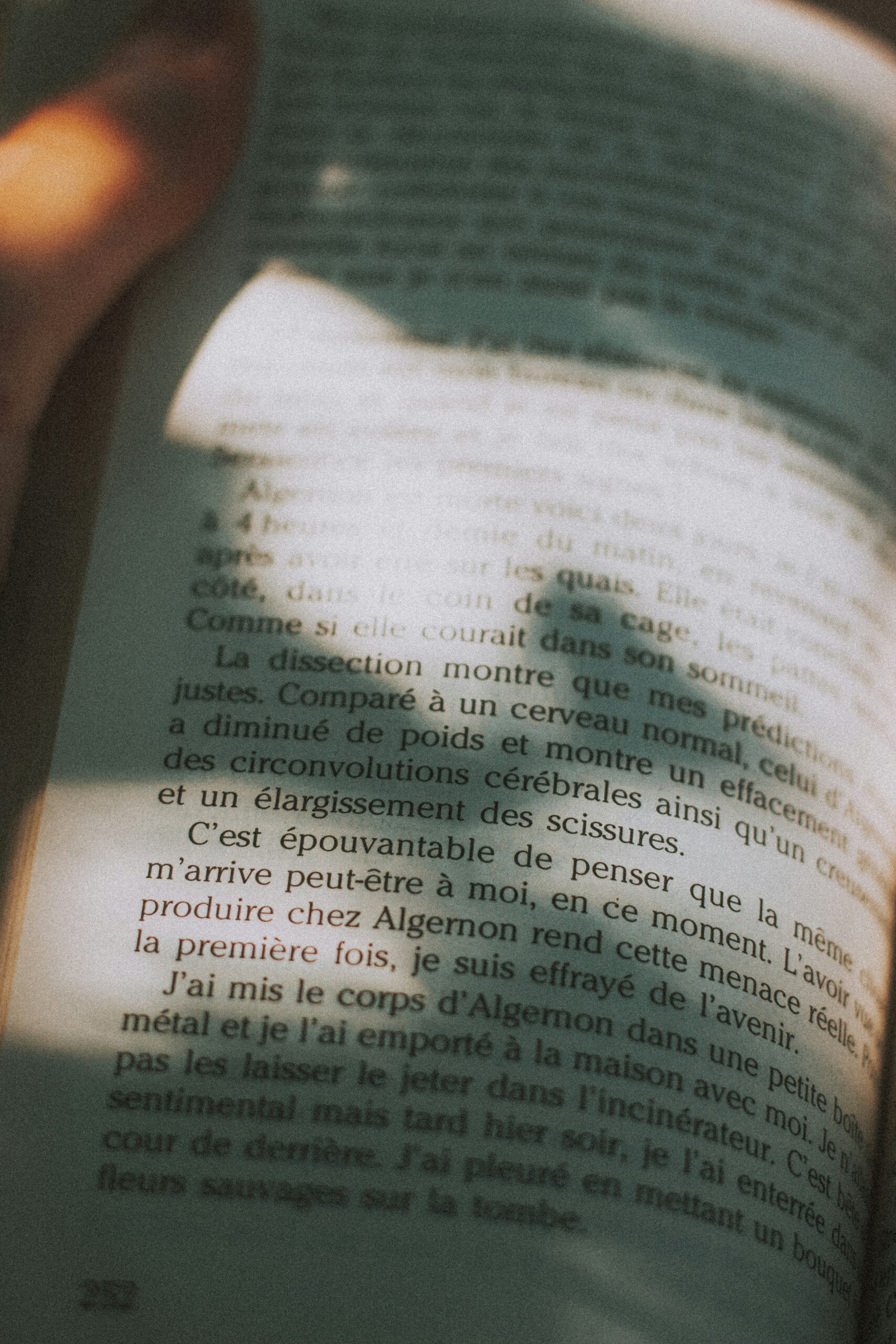 french translation services - a french book
