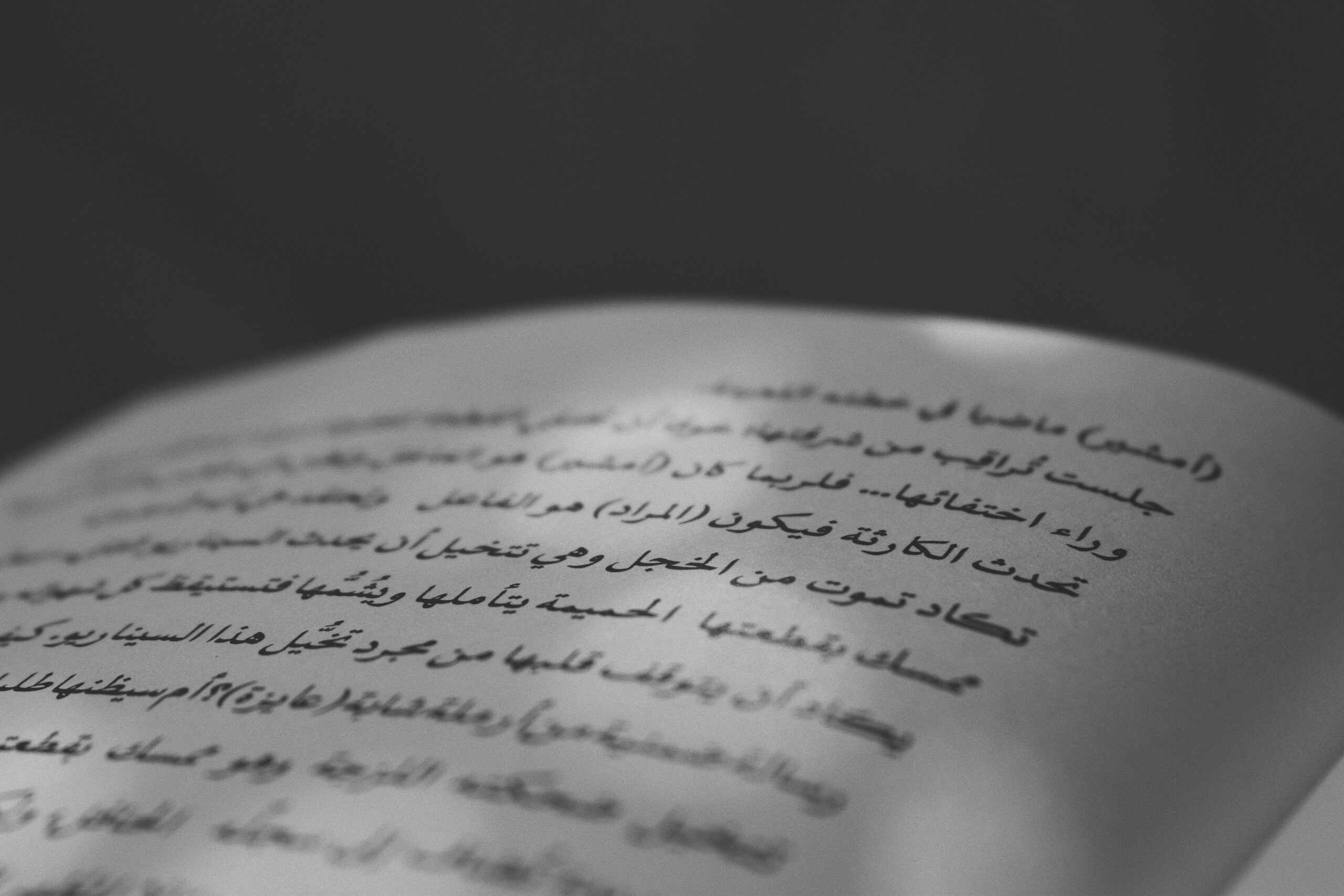 arabic to french translation services