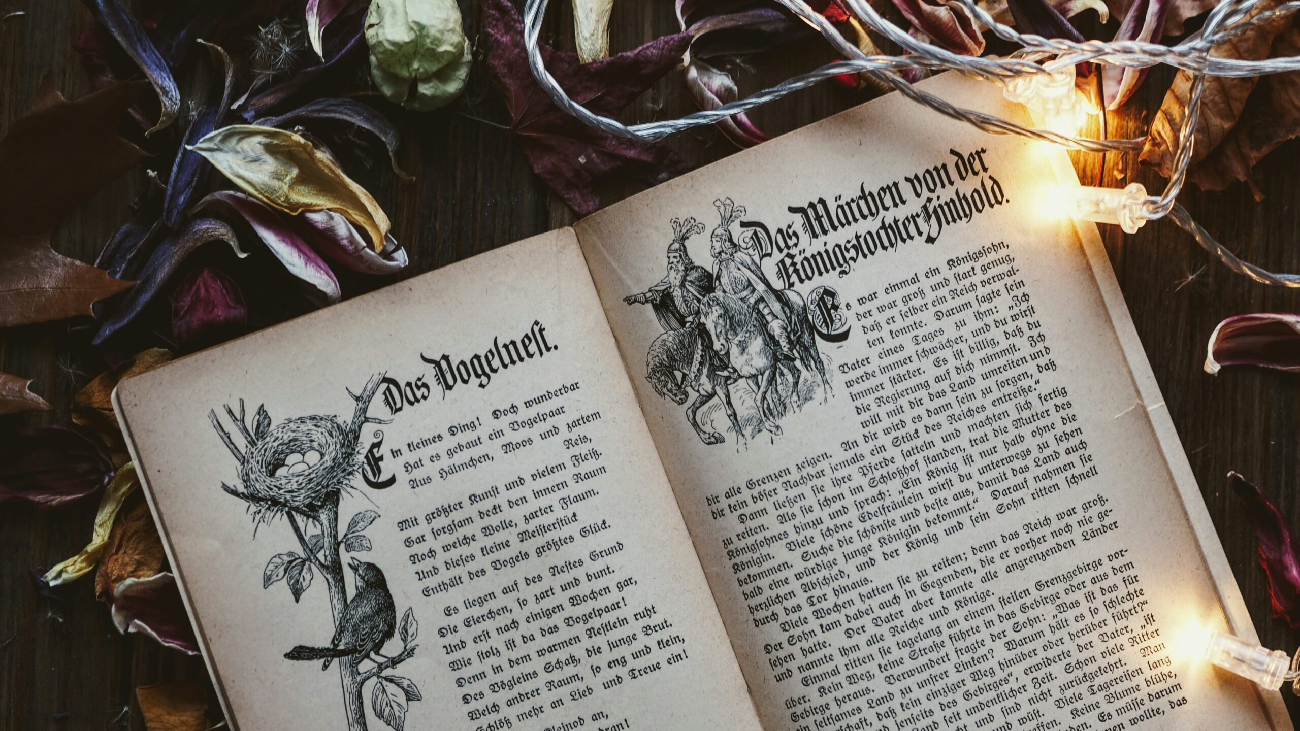 German translation agency