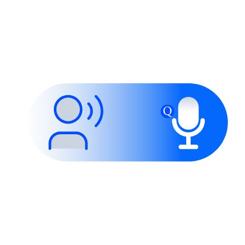 voice over translation