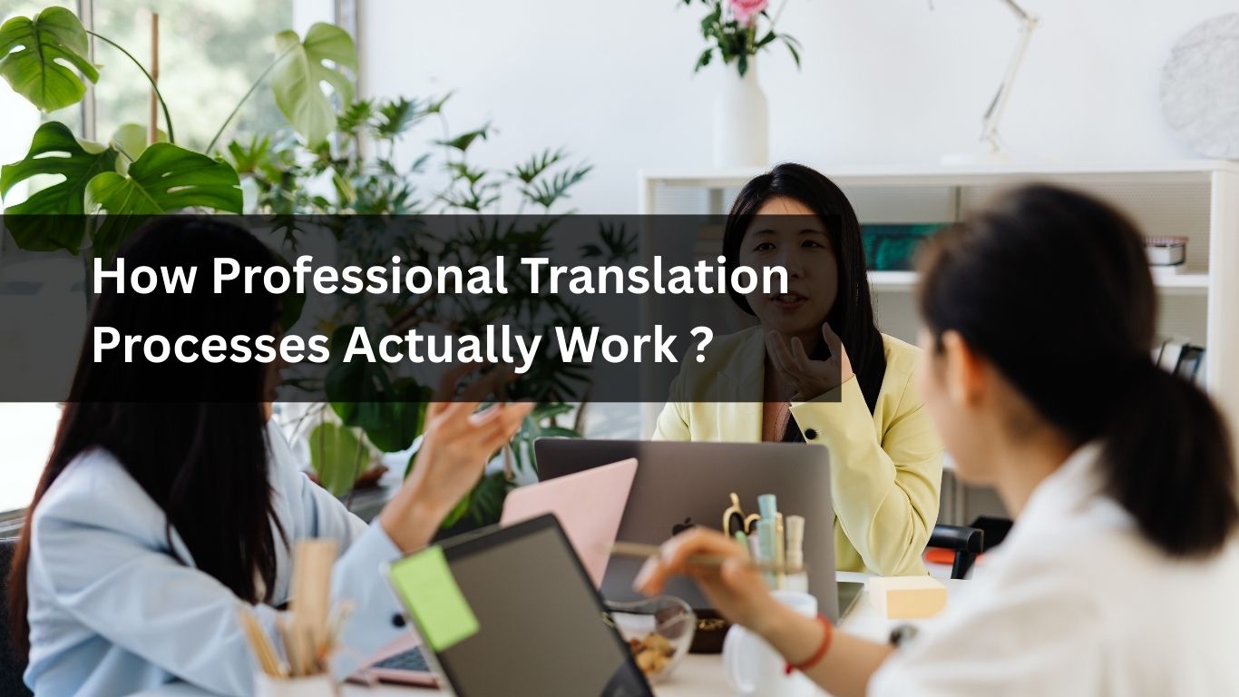 How Professional Translation Processes Actually Work